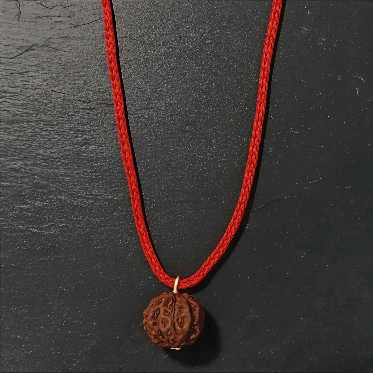 Get Free 5 Mukhi Rudraksha Original from Nepal | Pure & Energized by Rudjap
