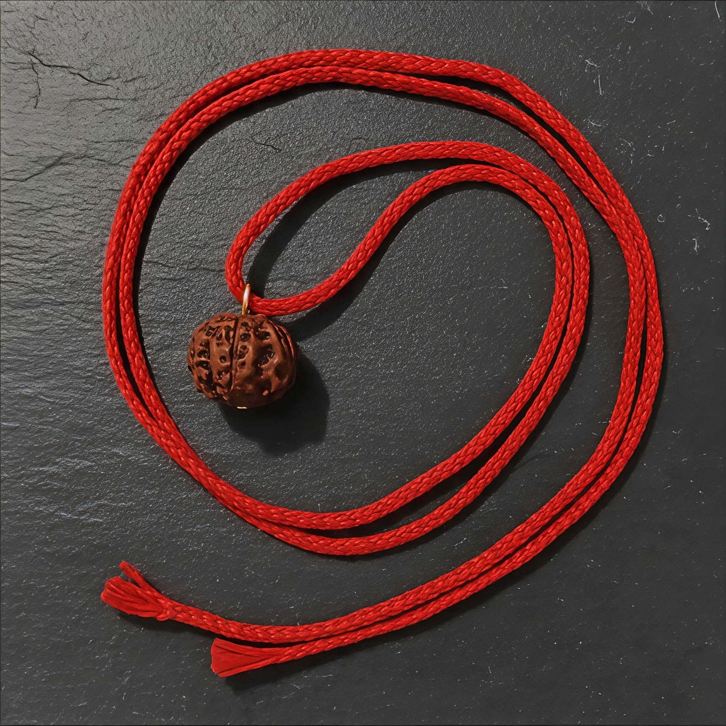 Get Free 5 Mukhi Rudraksha Original from Nepal | Pure & Energized by Rudjap