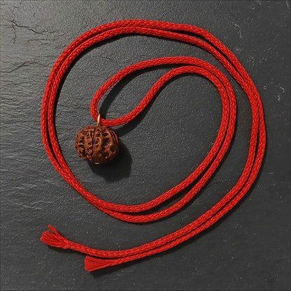 Get Free 5 Mukhi Rudraksha Original from Nepal | Pure & Energized by Rudjap