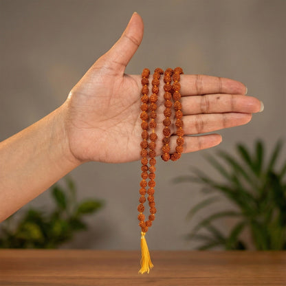Nepali 5 Mukhi Rudraksha Mala 5mm